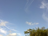 /album/ecoparque-playa/a9-jpg/