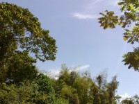 /album/ecoparque-playa/a10-jpg/