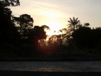 /album/ecoparque-playa/a11-jpg/