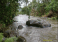 /album/rio-blanco/imagen12-gif1/